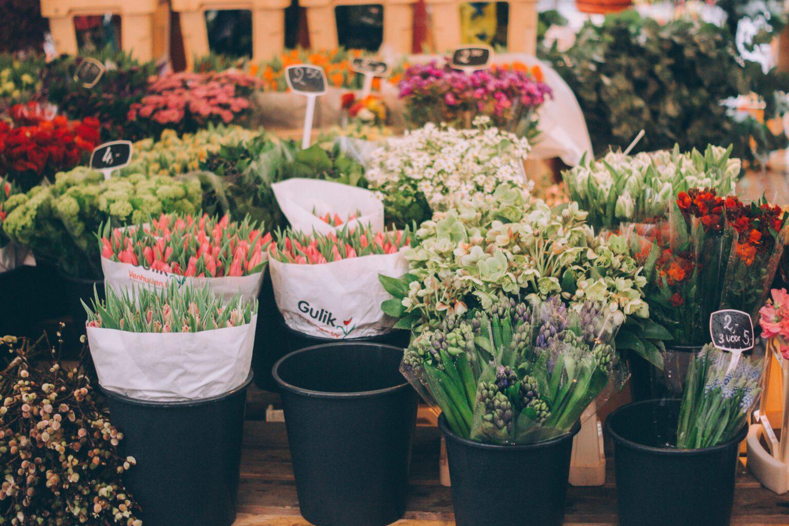 Bloemen op de markt in Leiden uit wat te doen in Leiden.