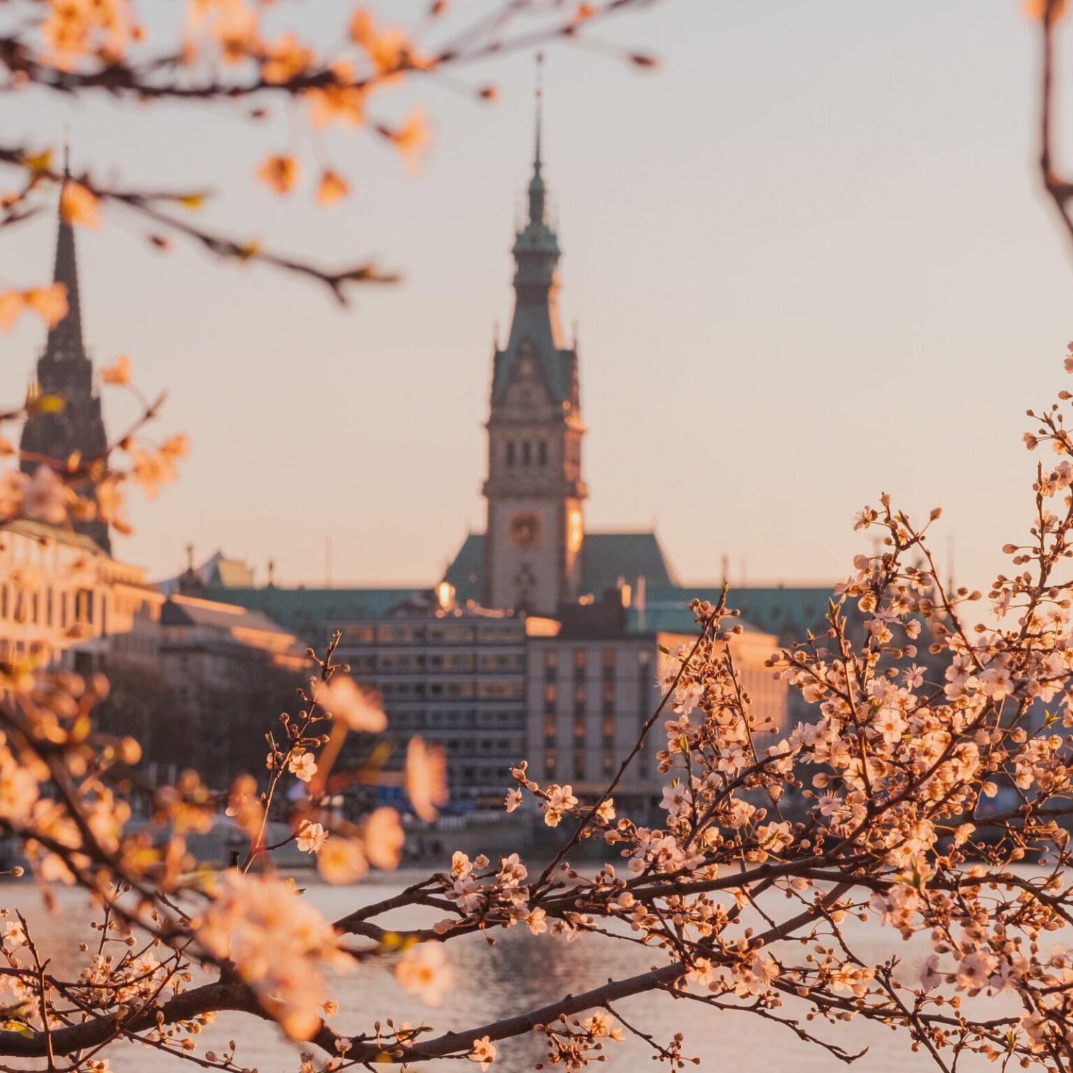 13x wat te doen in Hamburg