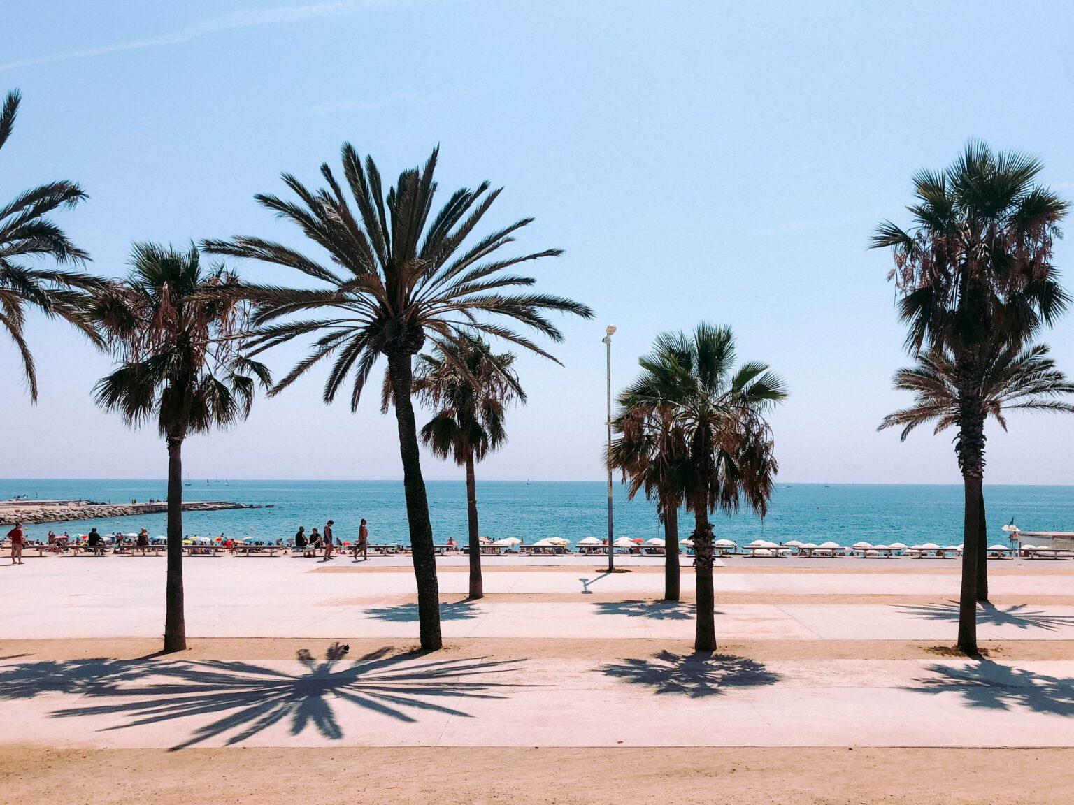 De promenade van het strand in Barcelona met palmbomen.